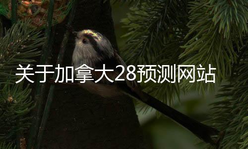 关于加拿大28预测网站的信息 关于加拿大28预测网站的信息